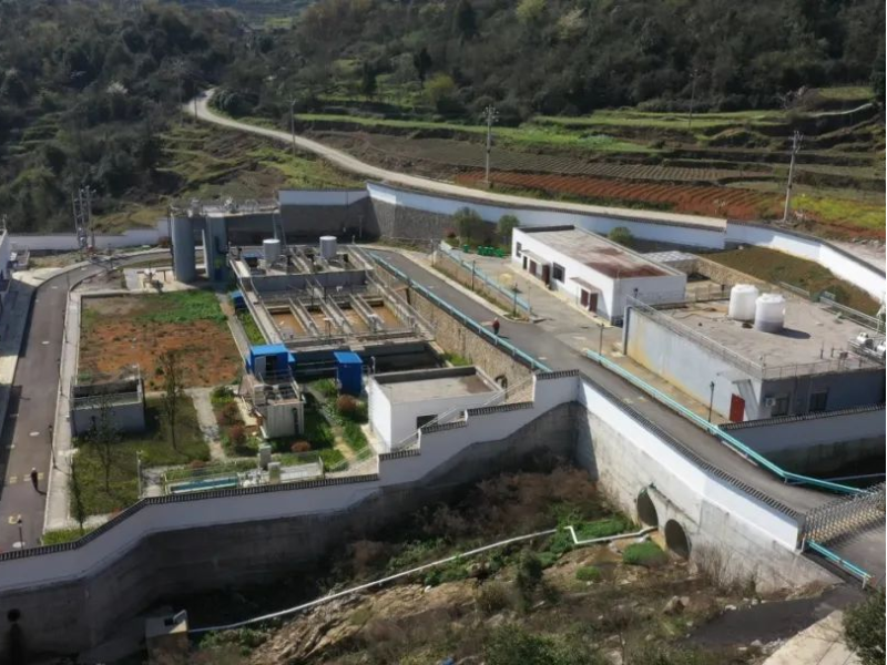 龙岱集团的自我回顾与展望